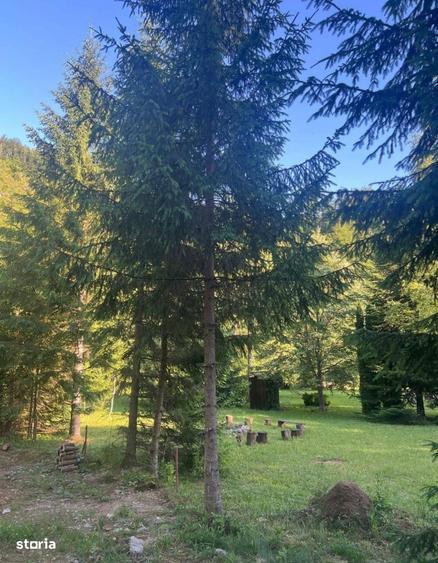 Cabana,Cu Teren De 1500 Mp - 2