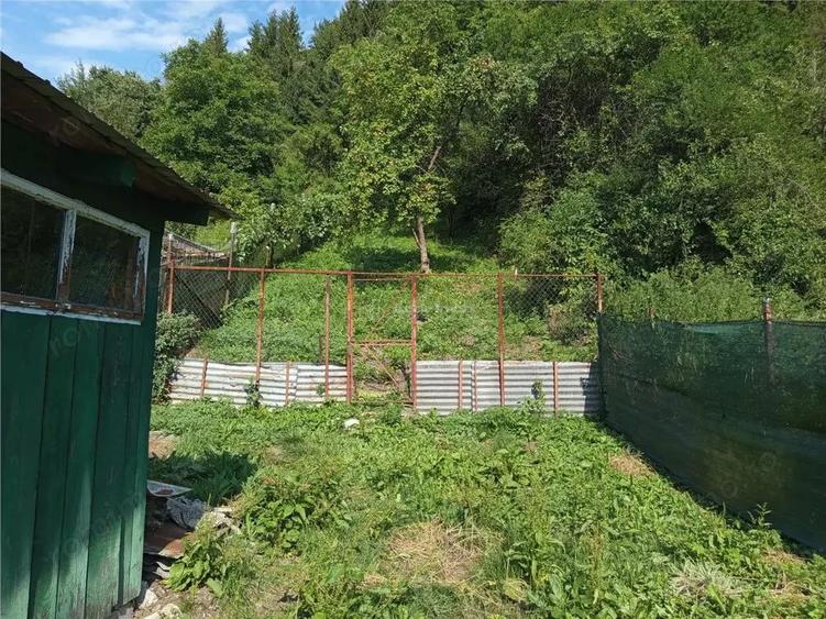Anina, Casa, 4 Camere, P+M, 160MP Teren, Pret Negociabil - 19