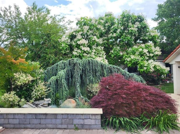 RECO  Casa Moderna  in Cartierul  Episcopia - 3