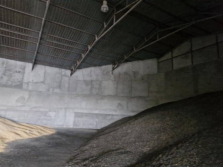 EXCLUSIVITATE! Afacere - Depozit cereale - Lumina-380.000 euro (Cod E8) - 12