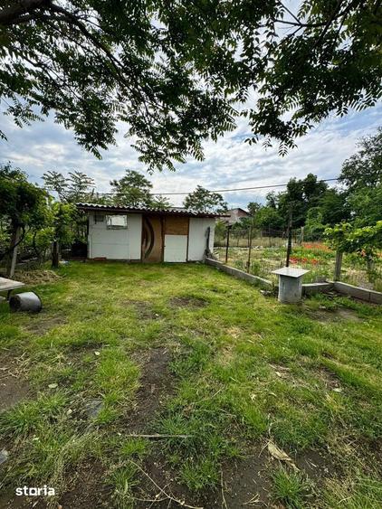 Casa si teren de vanzare 948mp Campia Islaz, Oportunitate de invest - 6