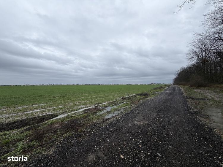 Teren intravilan de 7500 mp - 2