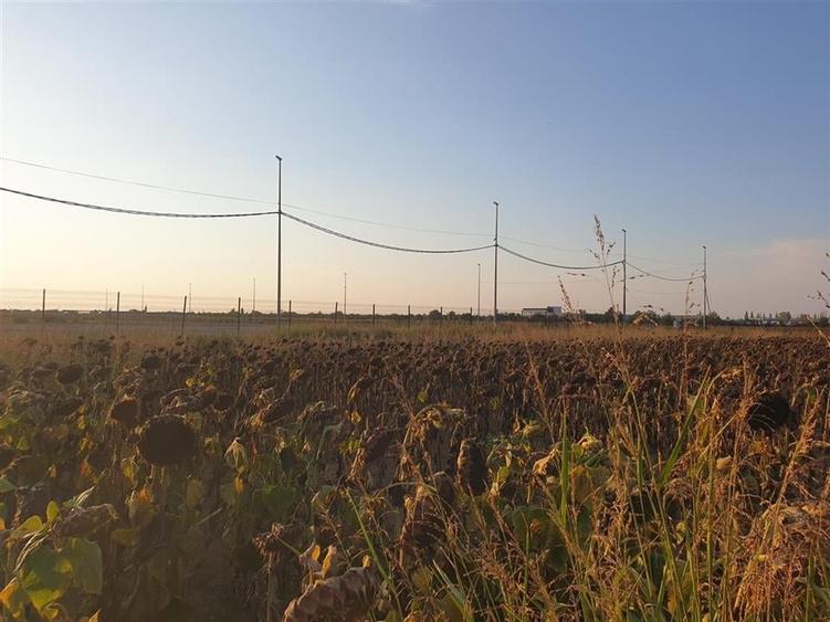 Teren intravilan zona Borsului - 5