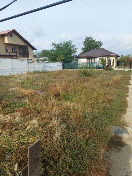 Teren de vanzare/ inchirere intravilan Clinceni. - 4