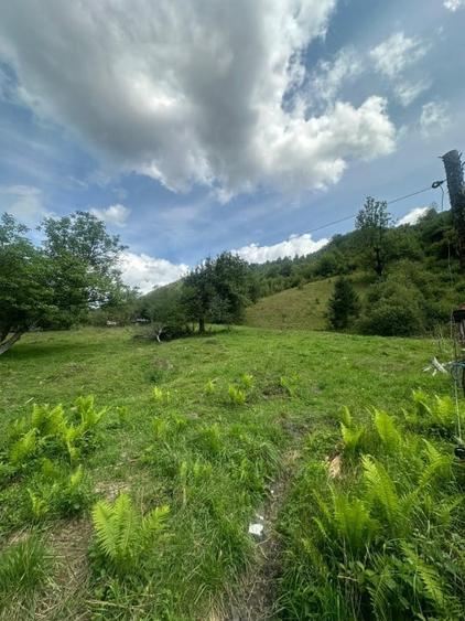 Teren 2 hectare pe Valea Ariesului, zona Scarita-Belioara, pret oportun 2 Eur/mp - 11