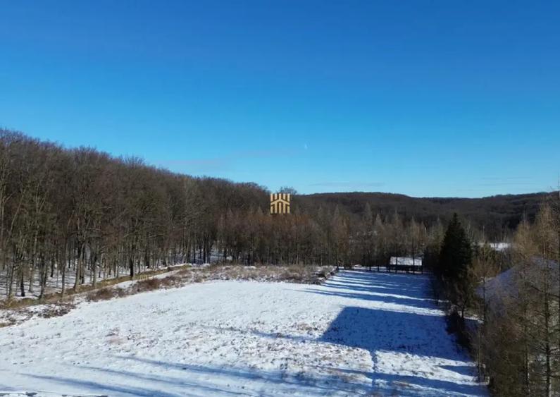 Teren Intravilan langa Padure 10.000 mp 1 hectar Suceava - 10