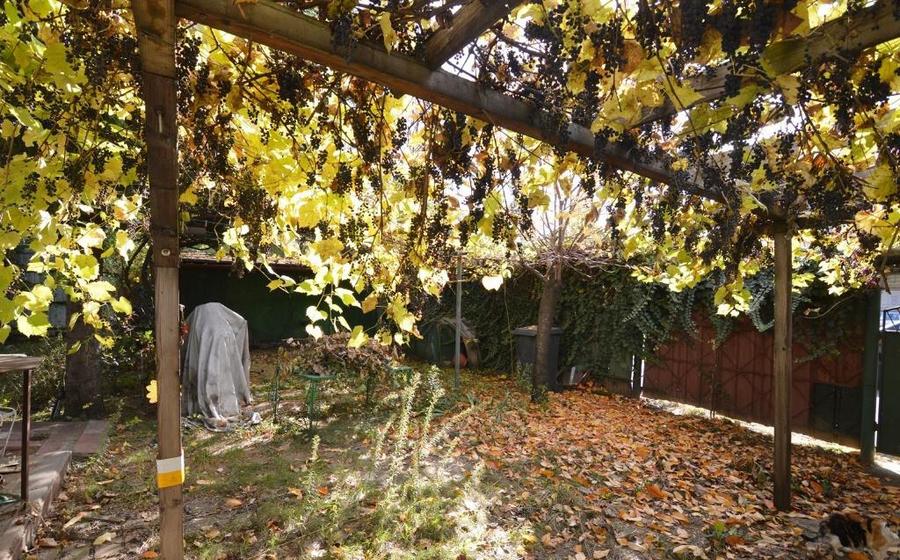 Garsoniera Baba Novac | Curte Generoasa | Localizare Excelenta - 1