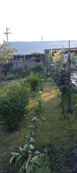 Casa de vanzare in judetul Prahova, comuna Draganesti, sat Baraitaru - 3