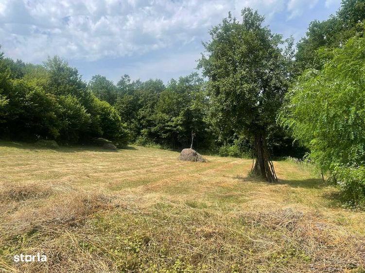 Teren extravilan de vanzare -faneata - 3