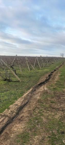 Teren en Slobozia Bradului de 12.600 mp intravilan,intabulat - 5