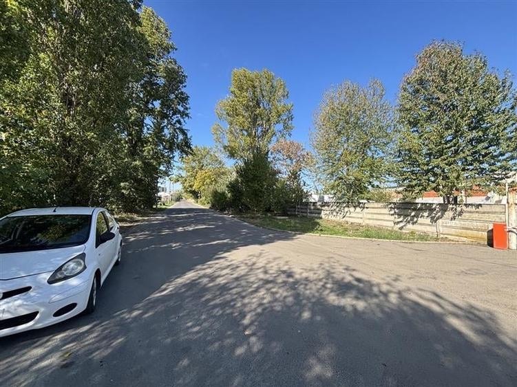 Hala  700 mp - teren 3998 mp - Nufarul - 10