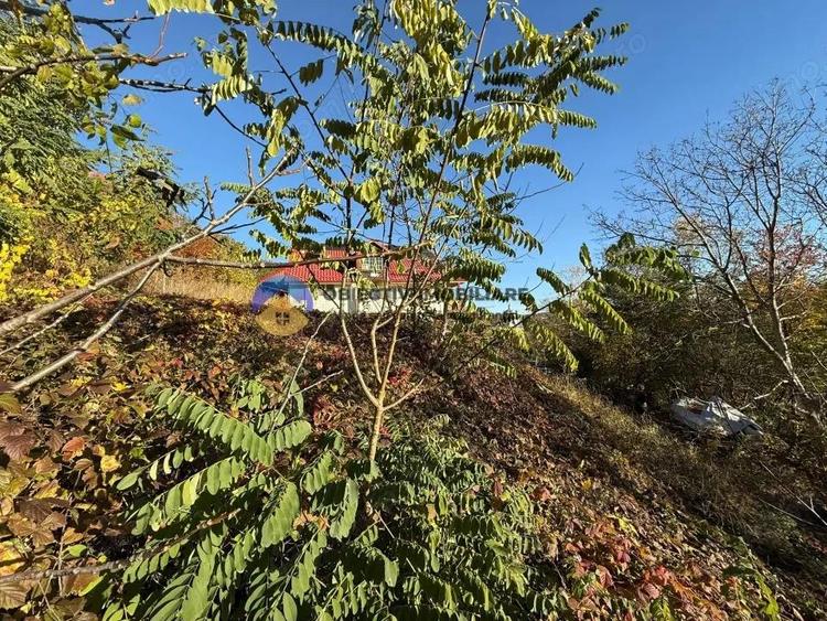 Teren intravilan 1543 mp zona Darmane?ti - 6