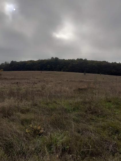 Vand teren intravilan in zona Fac.Sapientia - 1