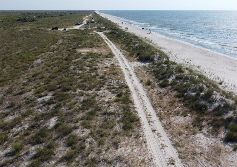 10.000 MP PRIMUL RAND LA MARE -