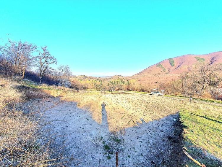 Teren 1.648 mp de v&acirc;nzare - Cisnădioara, Sibiu - 6