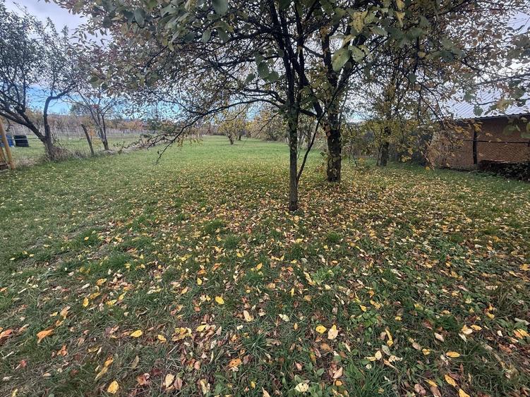 Teren intravilan împrejmuit 2331 mp la strada, toate utilitățile! - 8