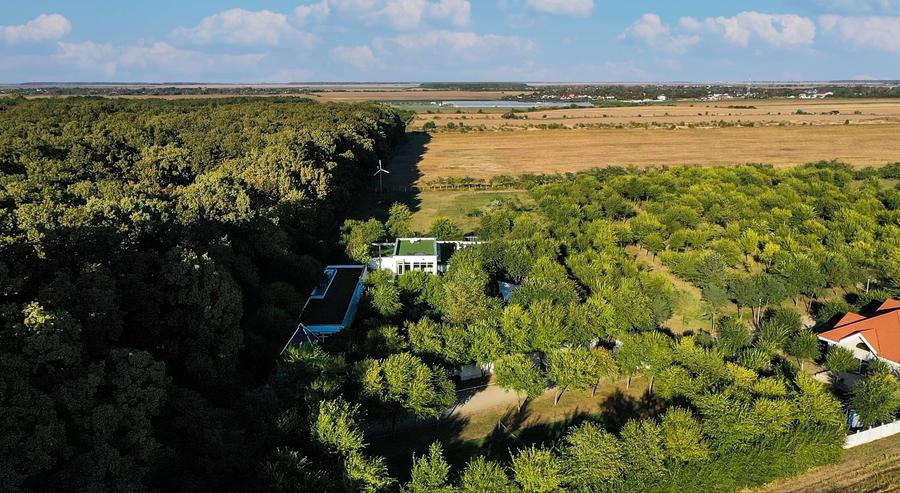 Teren de vanzare Strada Pădurii – „Un loc pe care nu îl alegi, ci te alege.” - 7