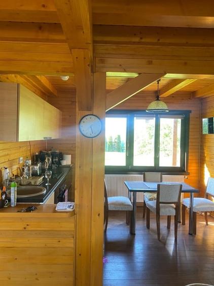 Casa de inchiriat 240mp utili, Zona Grigorescu - 3