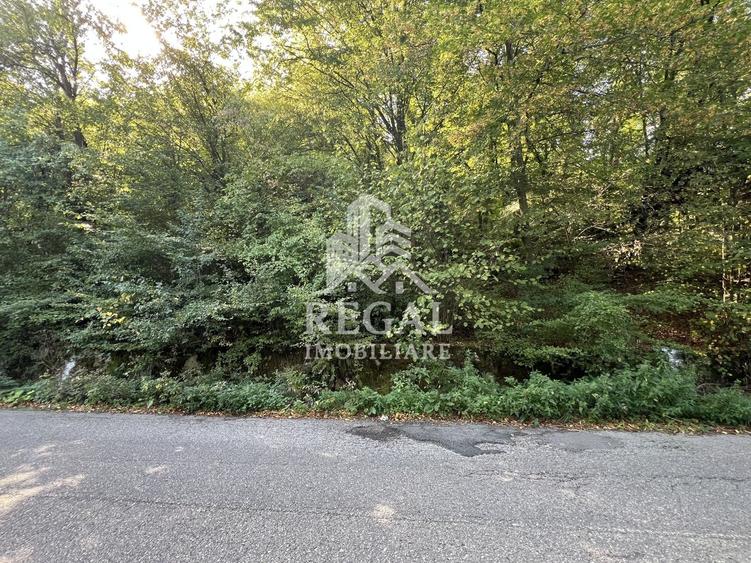 Teren extravilan de vânzare – Lacul Cinciș - 3