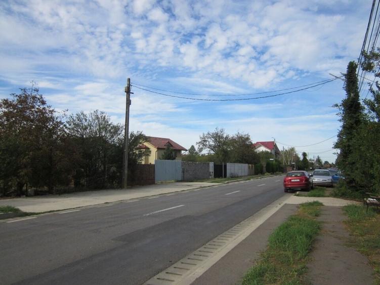 Domnesti Ciutaci-Zorelelor - 5