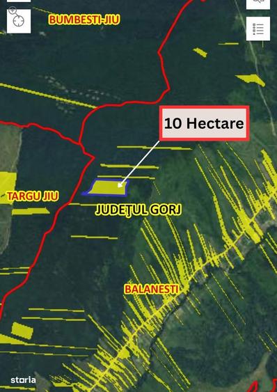 De vanzare padure 10 hectare, Balanesti, jud. Gorj - 3