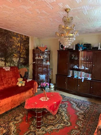 casa vacanza Iepuresti(Giurgiu) - 5