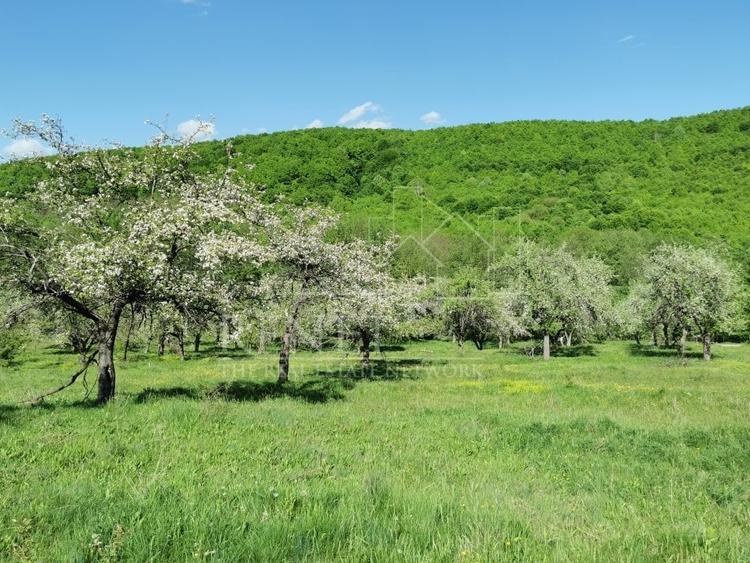 Teren de Vânzare, Budeasa Mica – Potrivit pentru Casă de Vacanță sau Investiție - 3