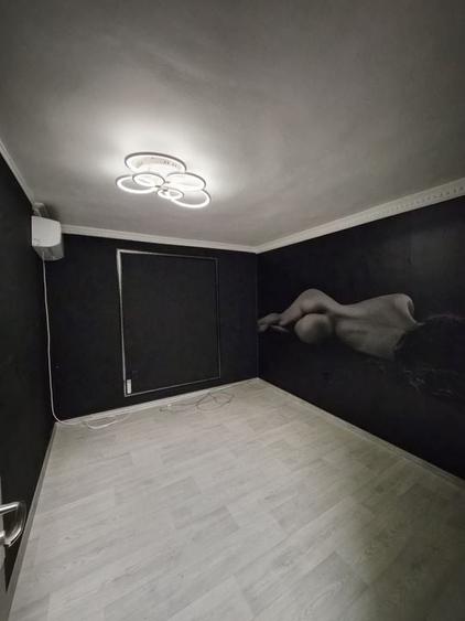 De vânzare Vilă individuala 11 camere curte proprie Parcul Carol - 37