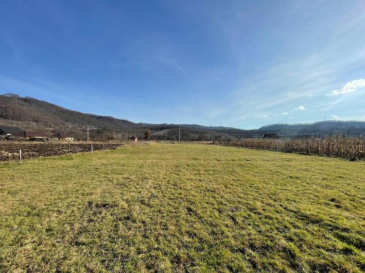 Teren de vanzare - 2