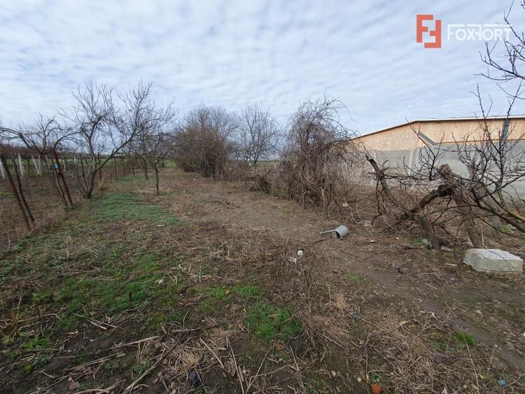 Casa de vanzare cu 3 camere si teren de 1008 mp - Deta - 16