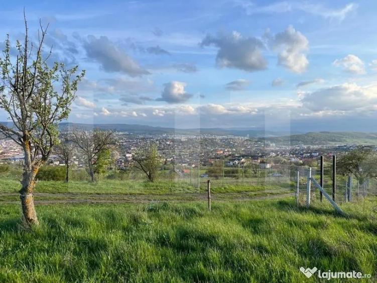 Teren extravilan, 1354 mp, Colonia Breaza - 2