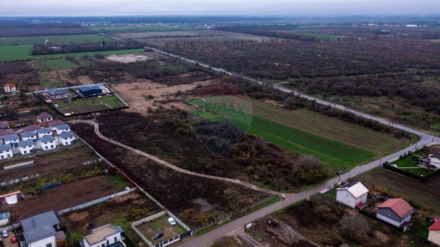 Vanzare teren intravilan 10.000mp Afumati - Strada Teiului - 5