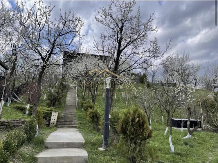 Casa de vacanta**Panorama spectaculoasa//Provita de Jos_Prahova