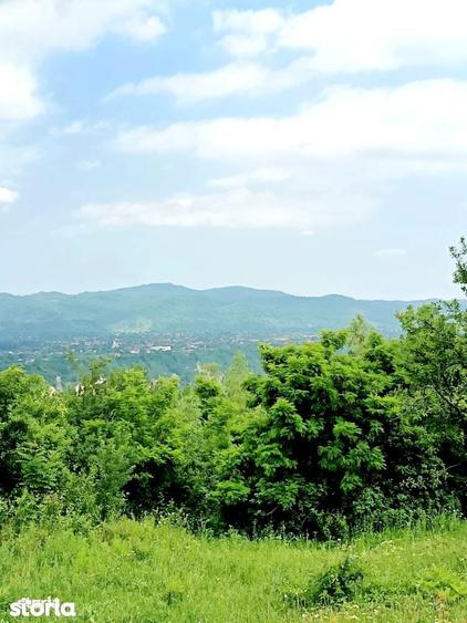 Ansamblu reziden?ial 5 case de vacan?a in Plaiu Campinei, Prahova - 5
