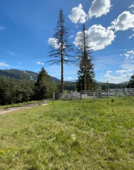 Teren de vânzare cu PUD și proiect, Poiana Brașov - 2