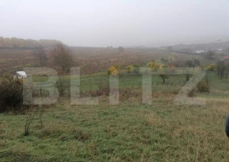 Teren de 1808 mp utilitati apa, gaz, curent in apropiere, zo - 1