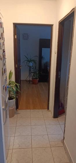 Drumul Taberei - 1 minut Raul Doamnei - Apartament 2 camere - 5
