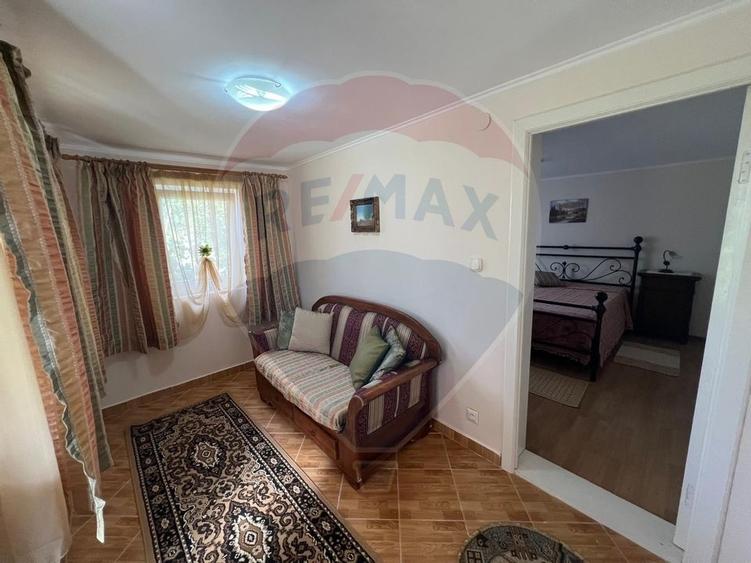 Casa 5 camere Bordeasca Veche - 14