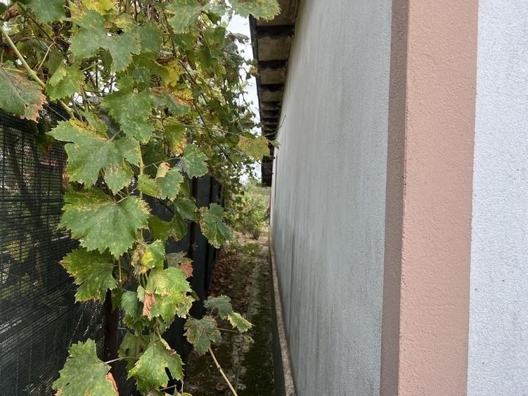 Casă cu 2 camere în Izvoru