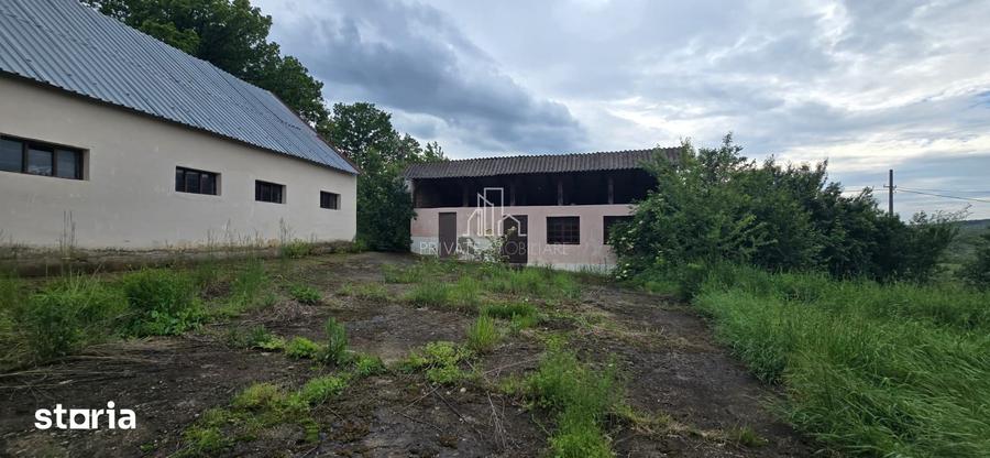 Teren agricol extravilan, 16000 Mp si 1234 Mp, Rora, Sighisoara - 1