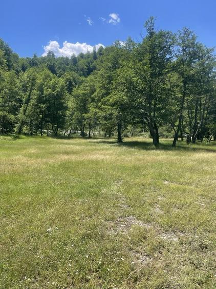 Teren de 16800 mp, în Valea lui Stan