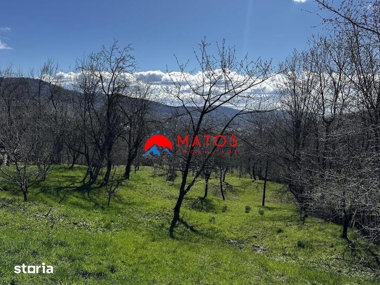 Casă cu 3 camere cu Teren 3025 Mp în Ghioșești
