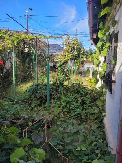 Casă individuală cu 7 camere cu Canalizare în Coiciu