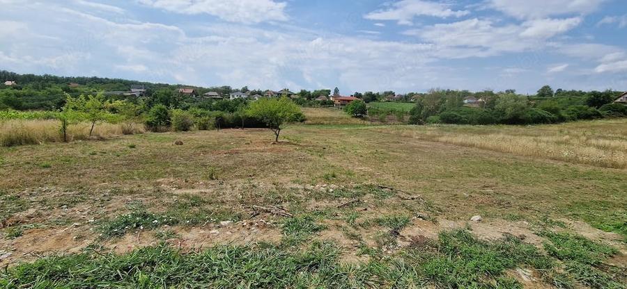 Teren de 1439 mp, în Viile Satu Mare