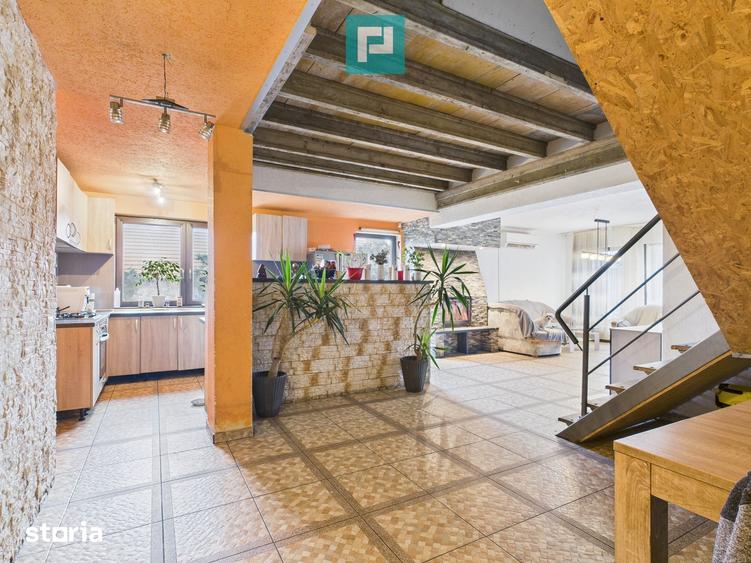 Casă cu 6 camere cu Teren 1376 Mp în Iosefin