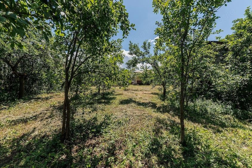 Casă cu Teren 889 Mp în Prundu
