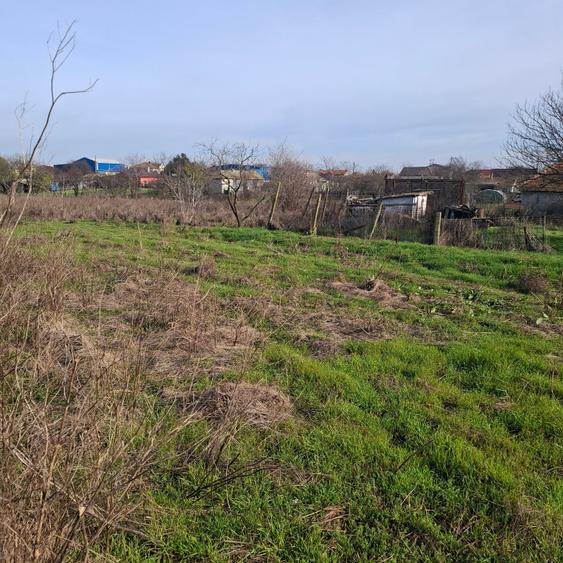 Teren Construcții intravilan de 3000 mp, în Poiana