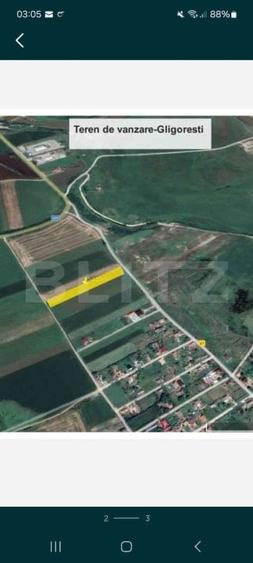 Teren Construcții intravilan de 5800 mp, în Gligorești