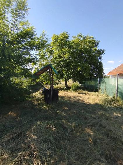 Teren de 1300 mp, în Central