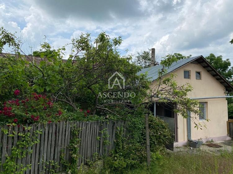 Teren Construcții intravilan de 15900 mp, în Fințești